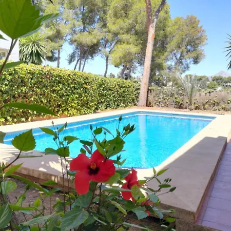 0303 Ciruela Balcon del Mar