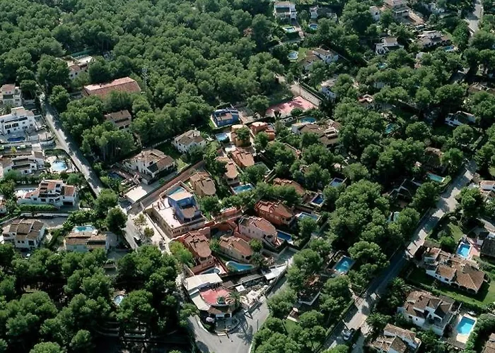 0303 Ciruela * Balcon del Mar