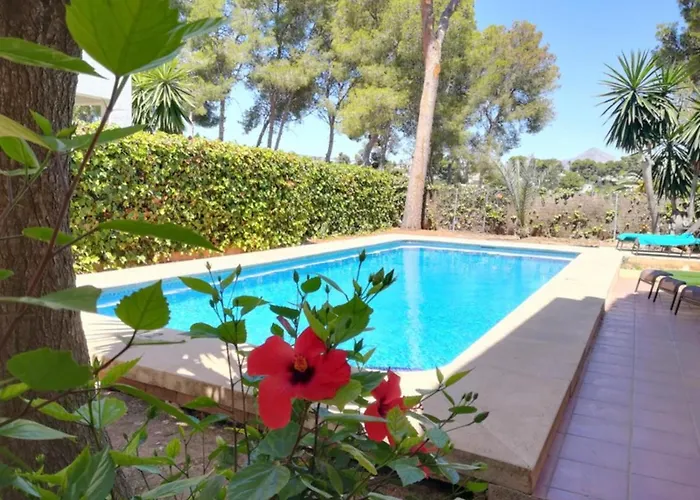 0303 Ciruela Balcon del Mar